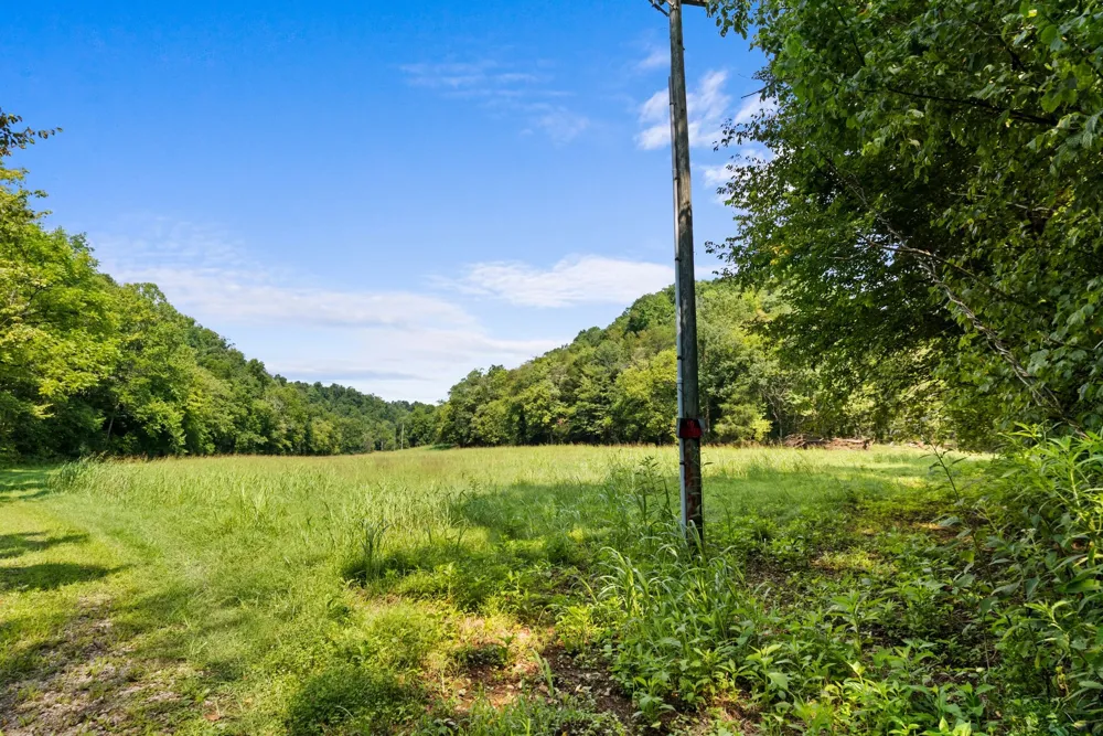 599 Jake Rockwell Rd Celina, TN 38551