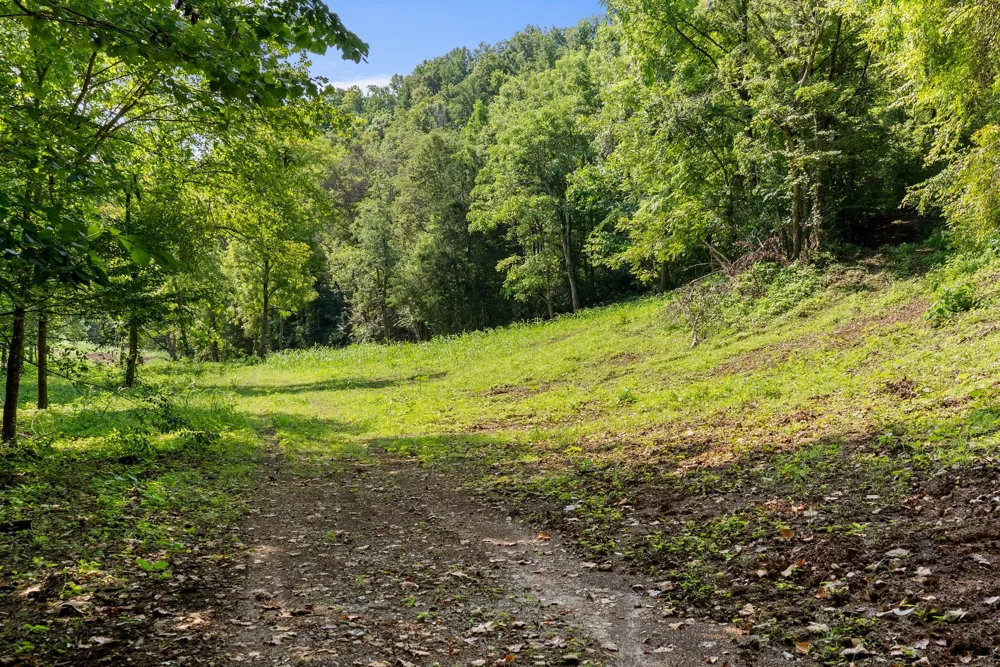 599 Jake Rockwell Rd Celina, TN 38551