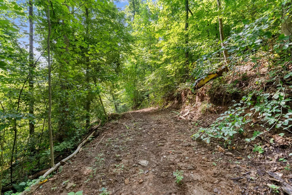 599 Jake Rockwell Rd Celina, TN 38551