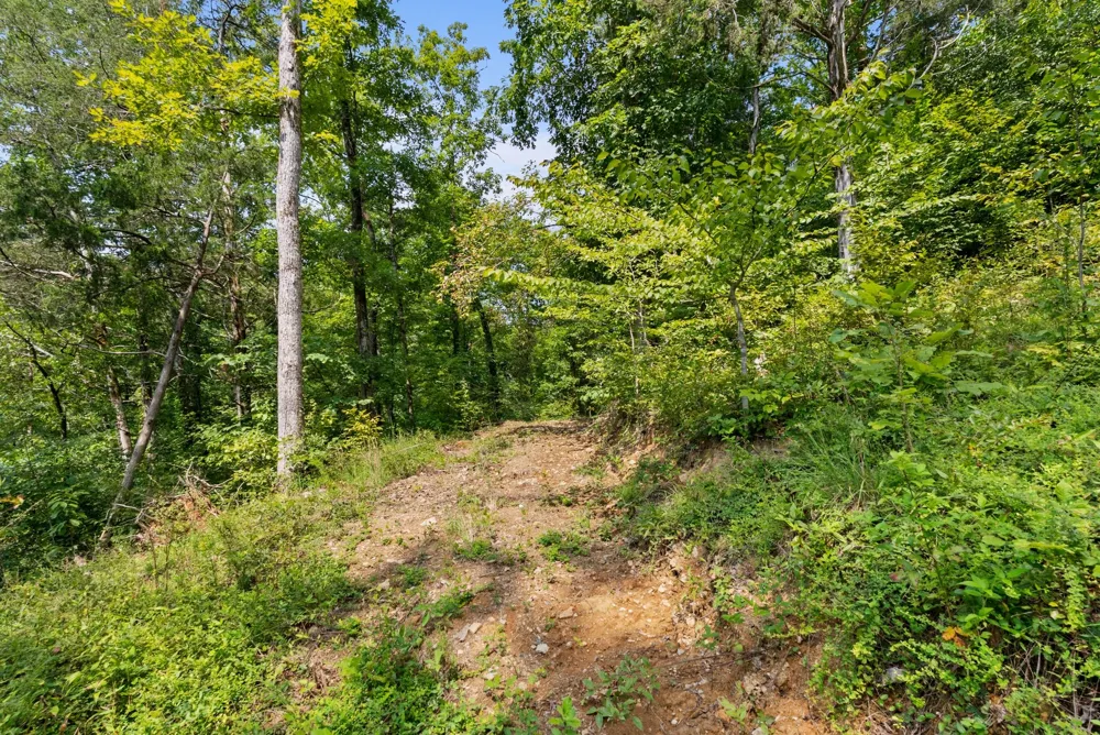 599 Jake Rockwell Rd Celina, TN 38551