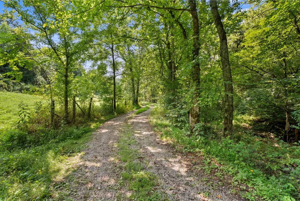 599 Jake Rockwell Rd Celina, TN 38551