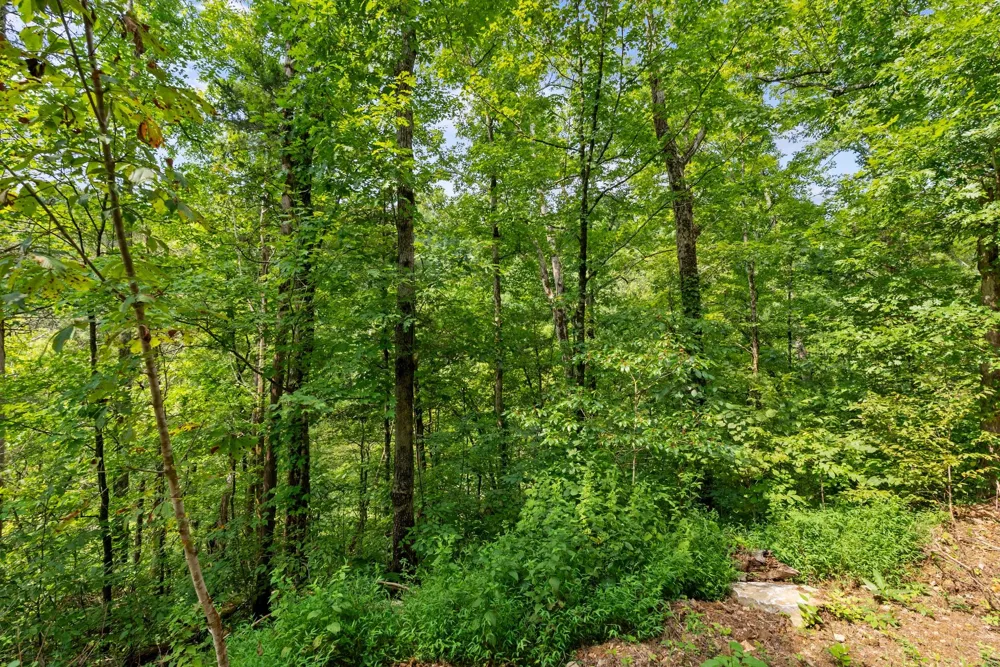 599 Jake Rockwell Rd Celina, TN 38551