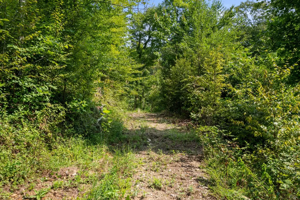 599 Jake Rockwell Rd Celina, TN 38551