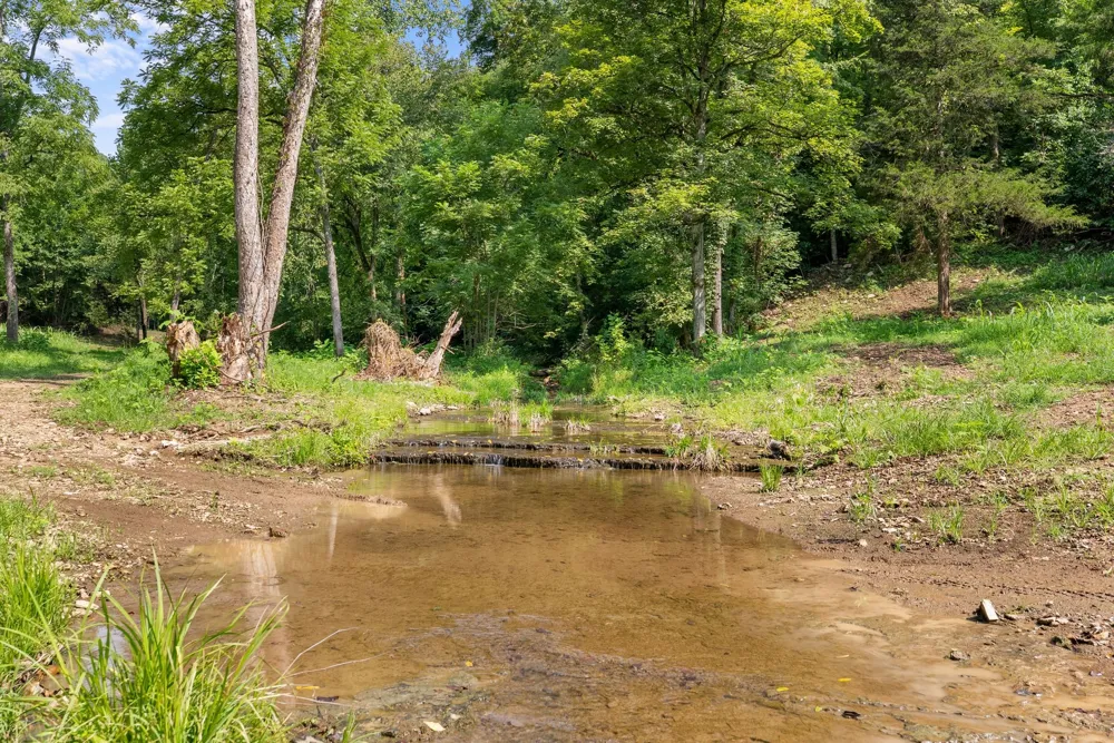 599 Jake Rockwell Rd Celina, TN 38551
