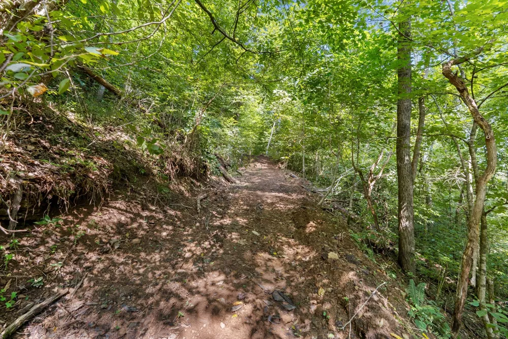 599 Jake Rockwell Rd Celina, TN 38551