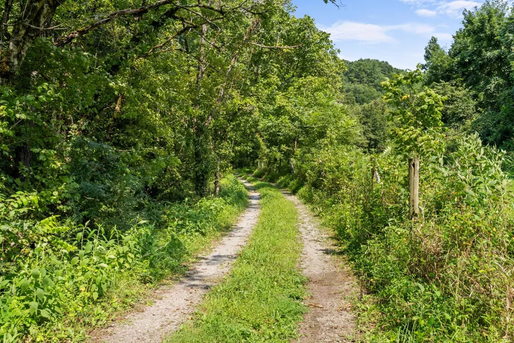599 Jake Rockwell Rd Celina, TN 38551