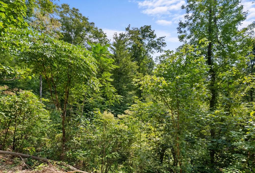 599 Jake Rockwell Rd Celina, TN 38551