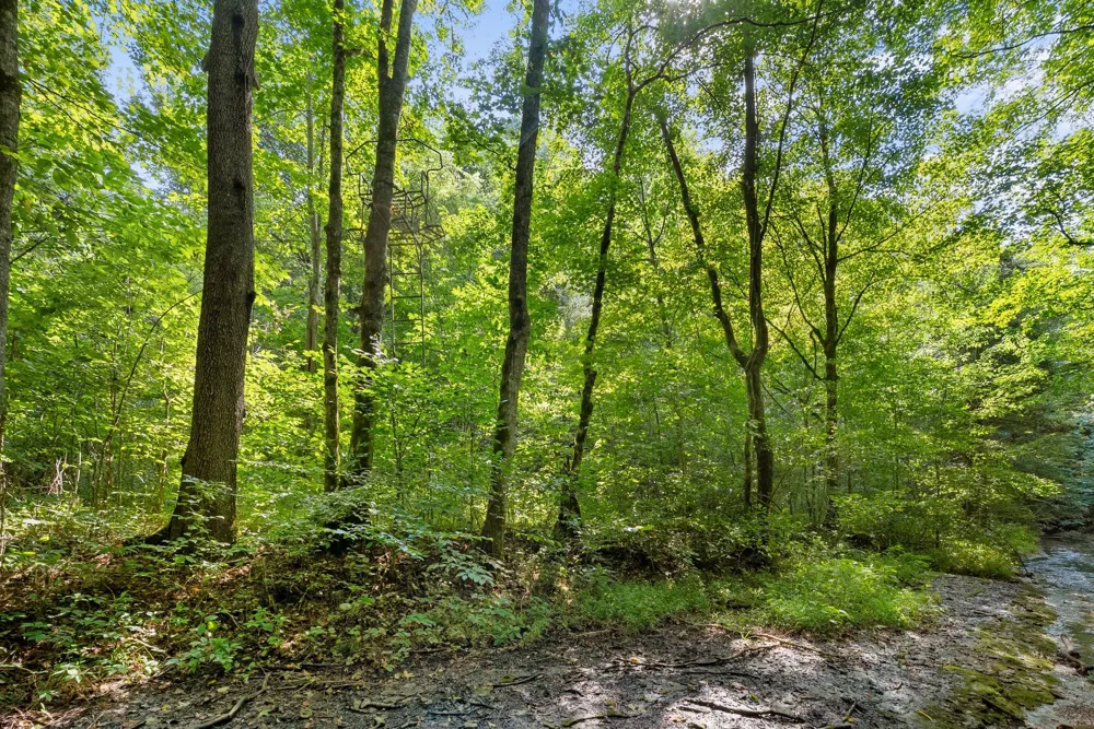 599 Jake Rockwell Rd Celina, TN 38551