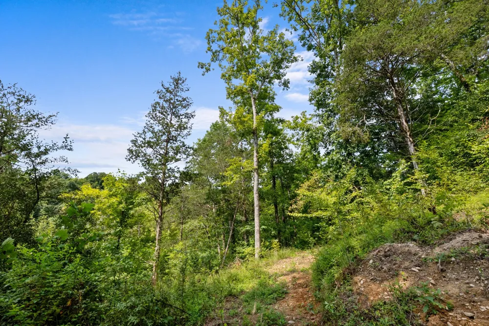 599 Jake Rockwell Rd Celina, TN 38551