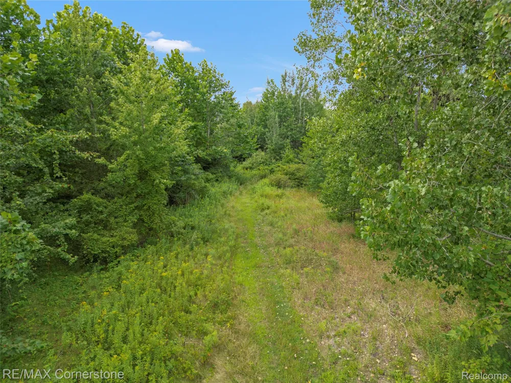 12701 Capernall Road Exeter Township, MI 48117