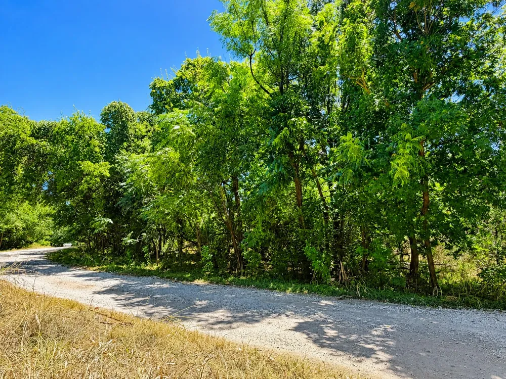 Buckner Lane Burnet, TX 78611