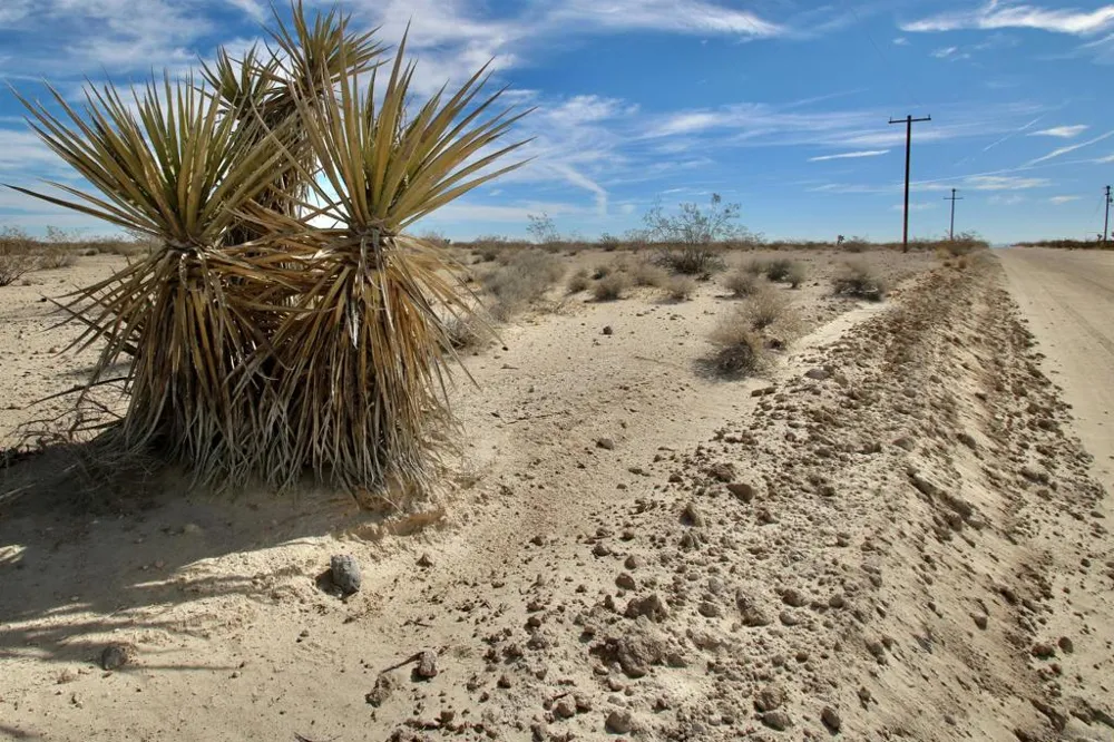Winters Rd Joshua Tree, CA 92252