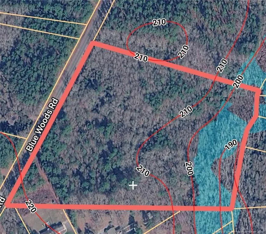 BLUE WOODS ROAD Laurinburg, NC 28352