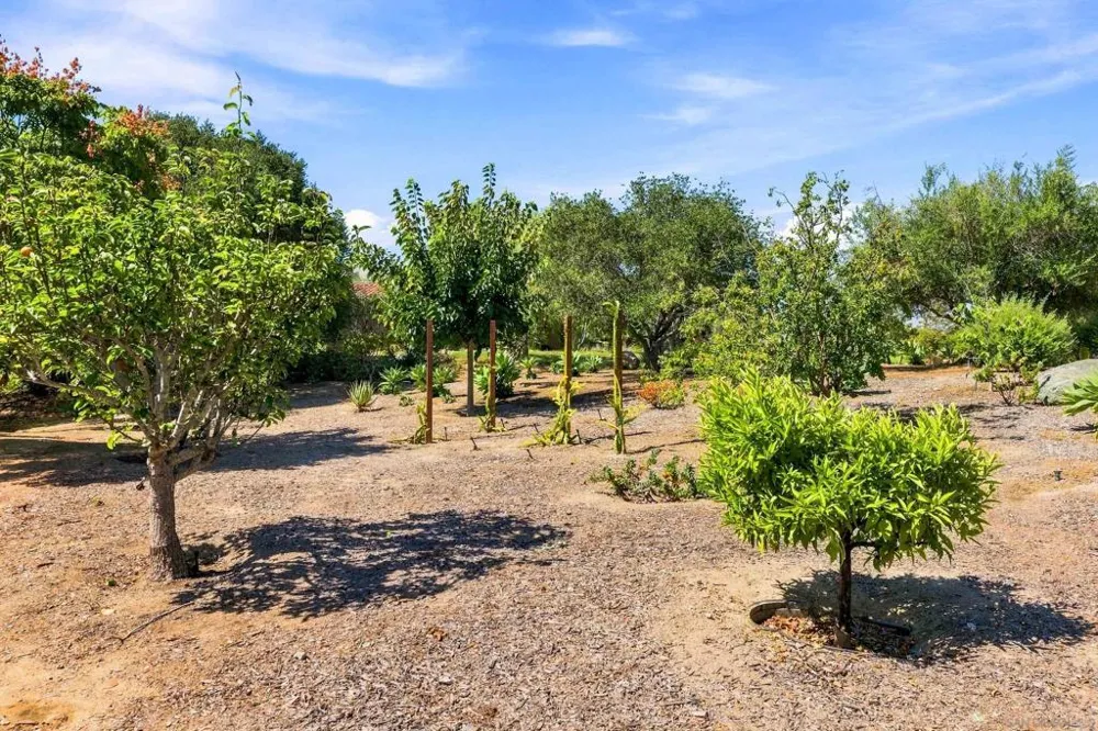 7887 Doug Hill San Diego, CA 92127