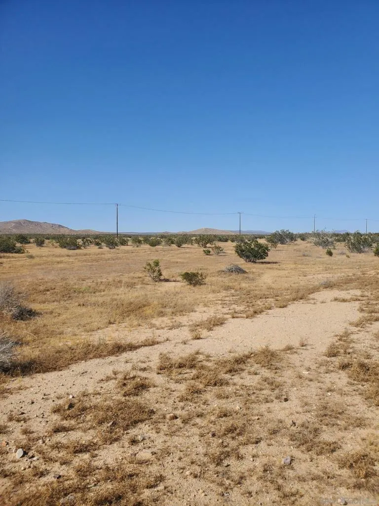 Vernon Dr California City, CA 93505