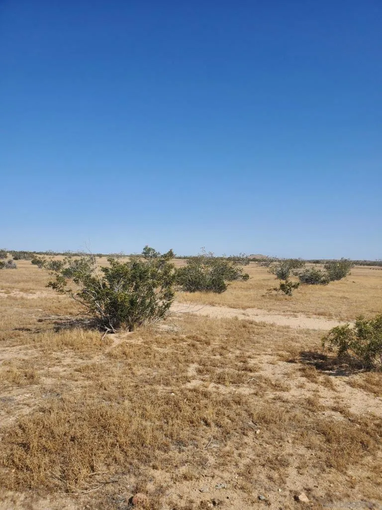 Vernon Dr California City, CA 93505