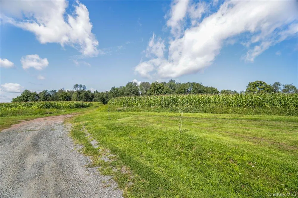 21 Hans Fischer Road Bethel, NY 12726