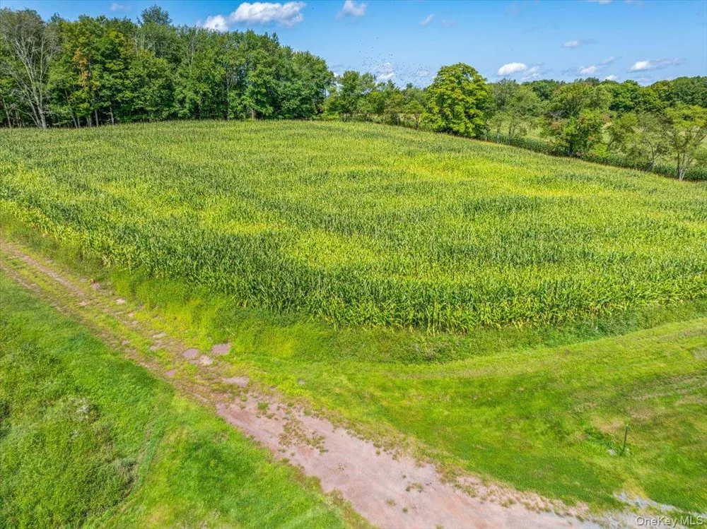 21 Hans Fischer Road Bethel, NY 12726