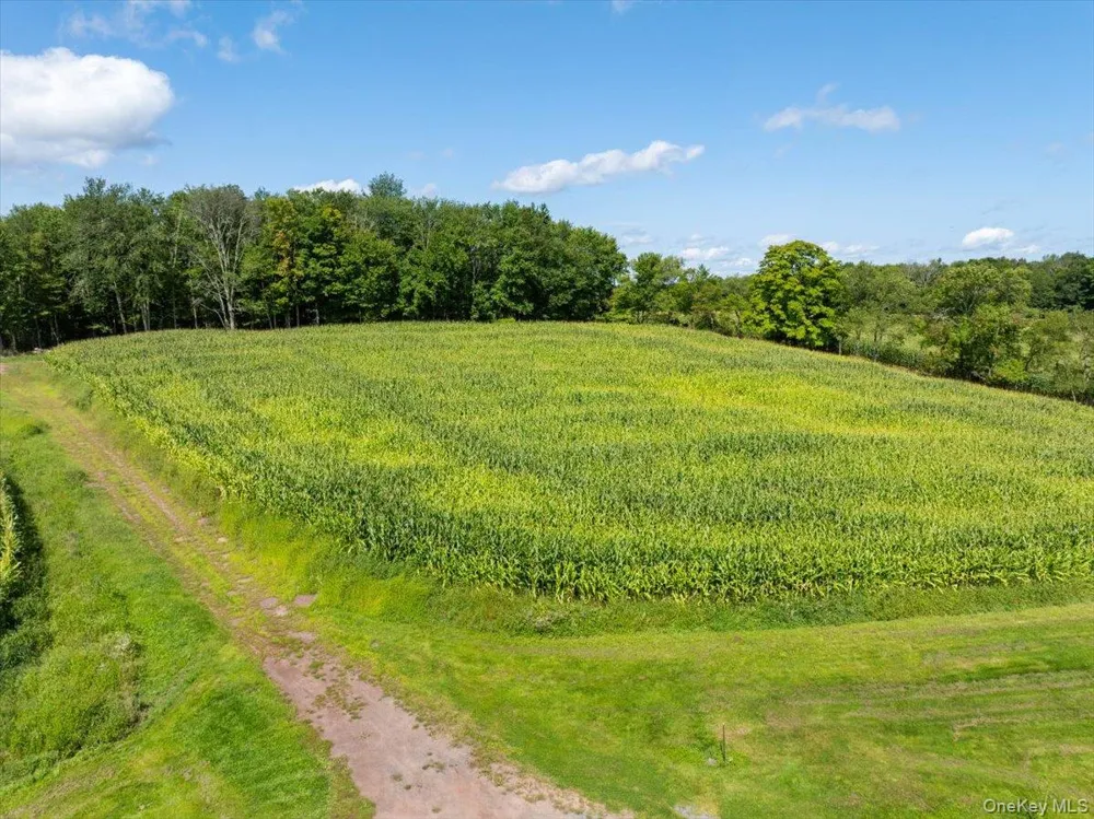 21 Hans Fischer Road Bethel, NY 12726