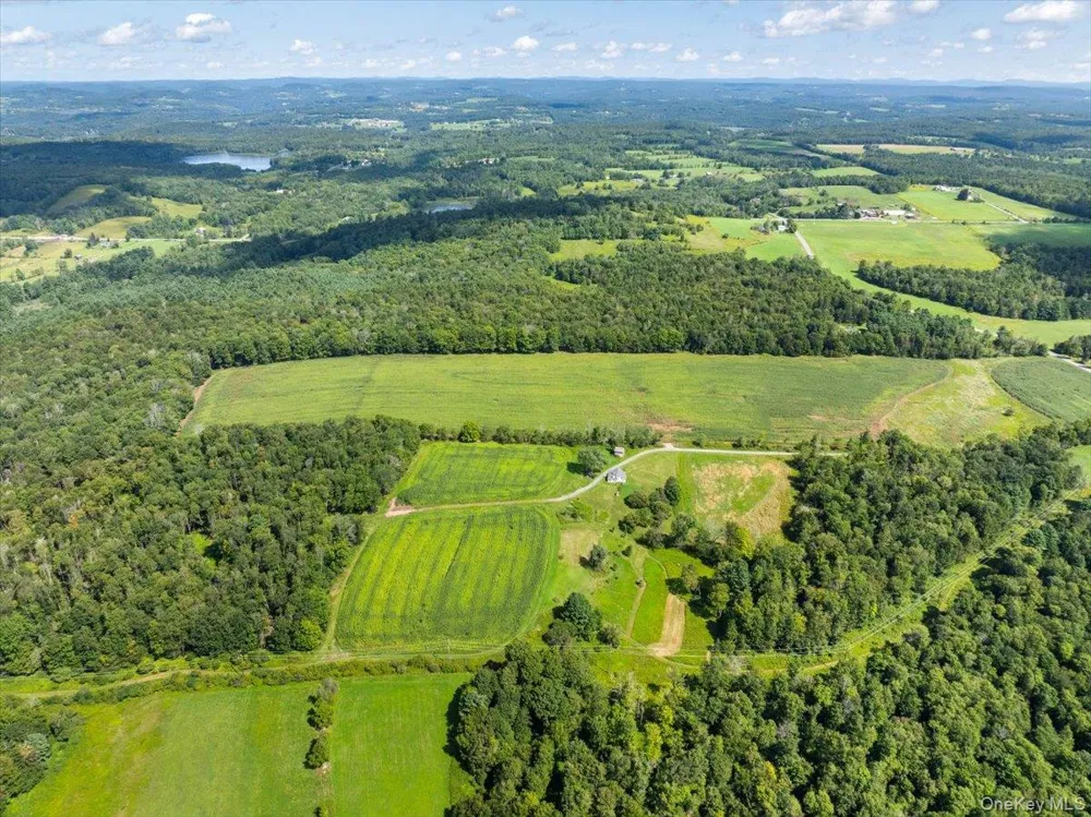 21 Hans Fischer Road Bethel, NY 12726