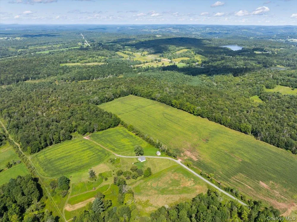 21 Hans Fischer Road Bethel, NY 12726
