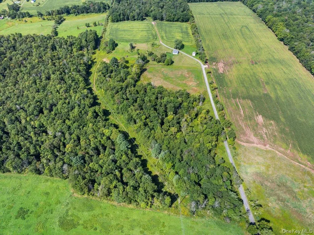 21 Hans Fischer Road Bethel, NY 12726