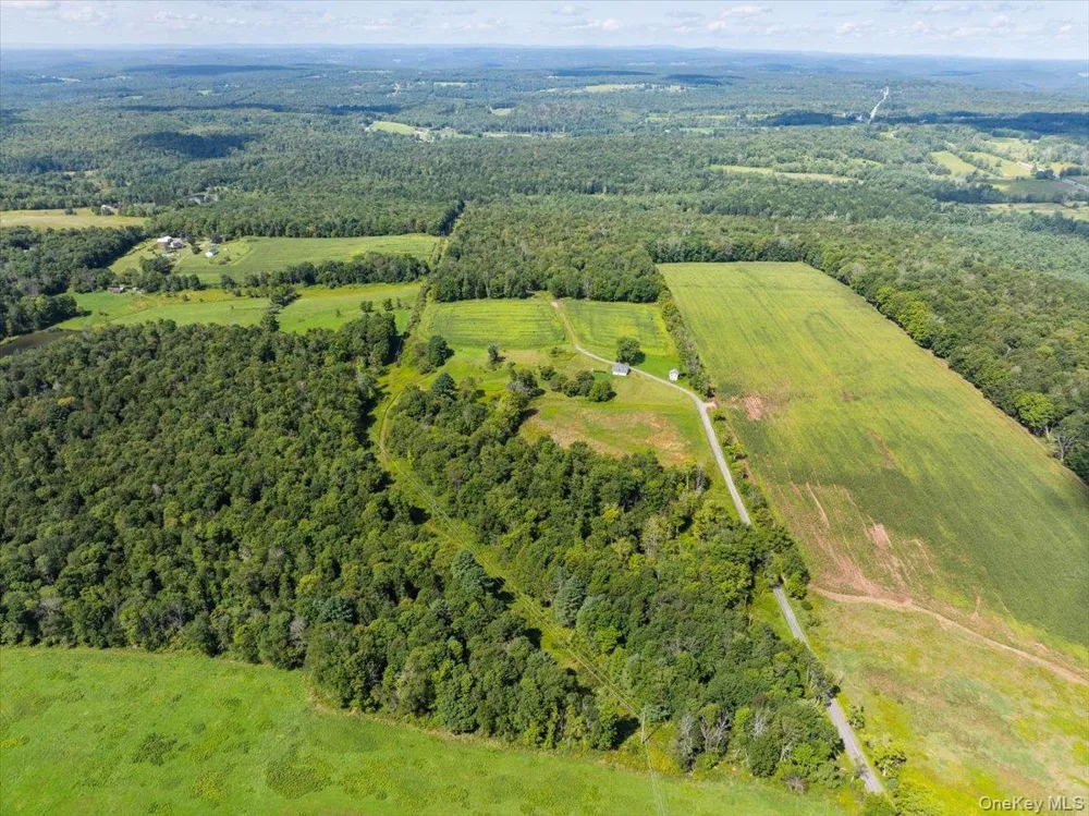 21 Hans Fischer Road Bethel, NY 12726