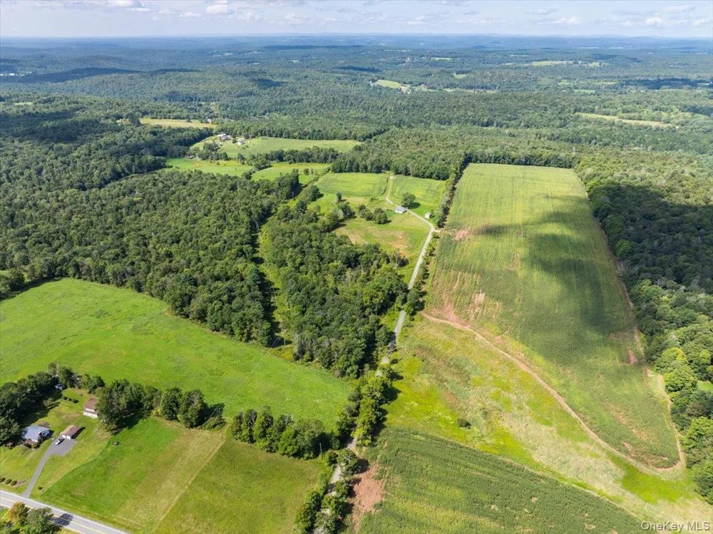 21 Hans Fischer Road Bethel, NY 12726