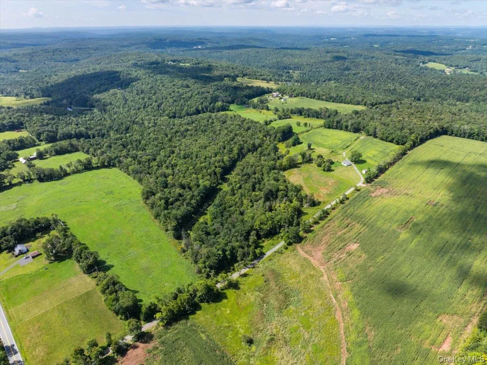 21 Hans Fischer Road Bethel, NY 12726