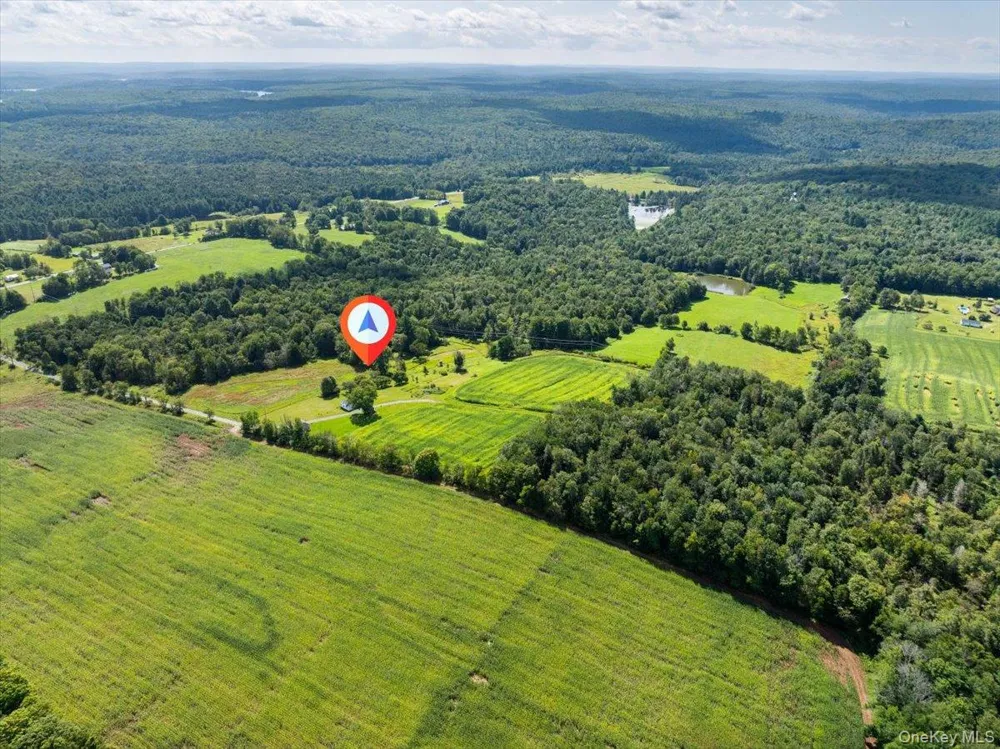 21 Hans Fischer Road Bethel, NY 12726