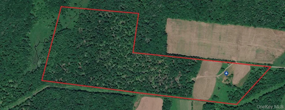 21 Hans Fischer Road Bethel, NY 12726