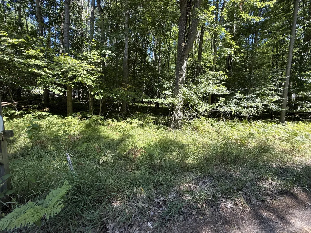 12100 Belle Isle Drive #369 Stanwood, MI 49346