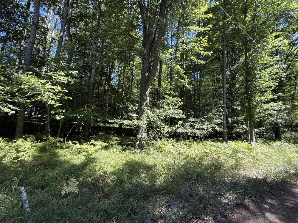12100 Belle Isle Drive #369 Stanwood, MI 49346