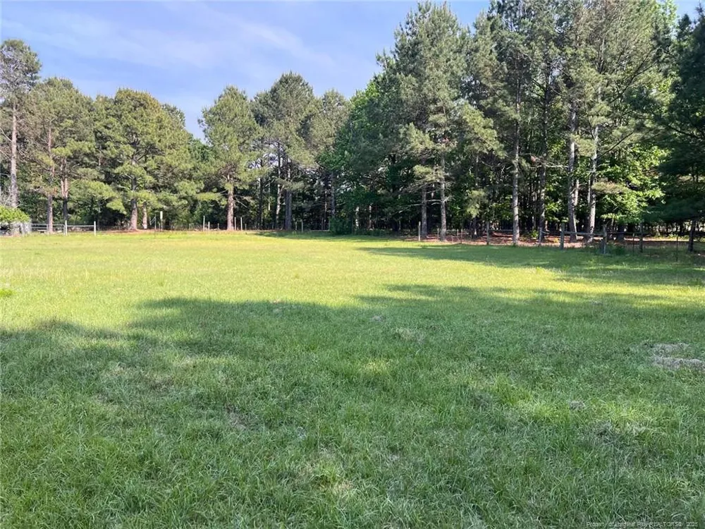 401 Nubbin Ridge Lane Carthage, NC 28394