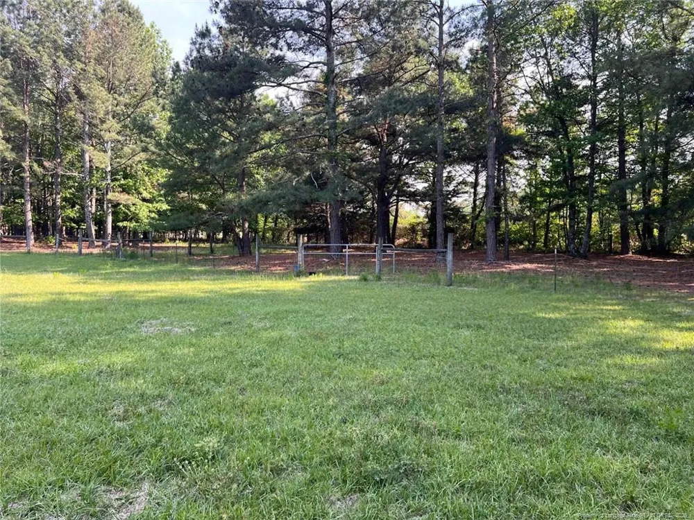 401 Nubbin Ridge Lane Carthage, NC 28394