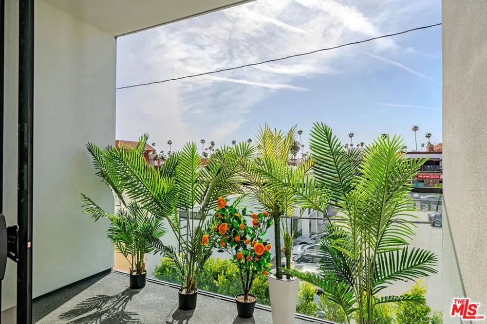 321 S Oxford Avenue #203 Los Angeles, CA 90010