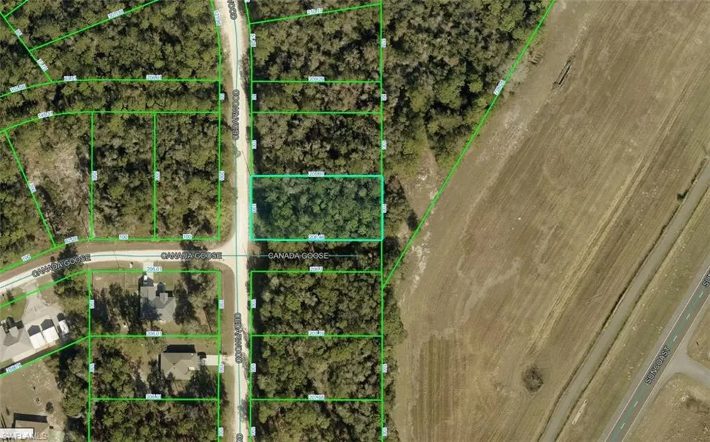 Cedarwood Avenue Weeki Wachee, FL 34614