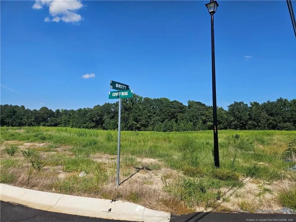 131 Britt Road St. Pauls, NC 28384
