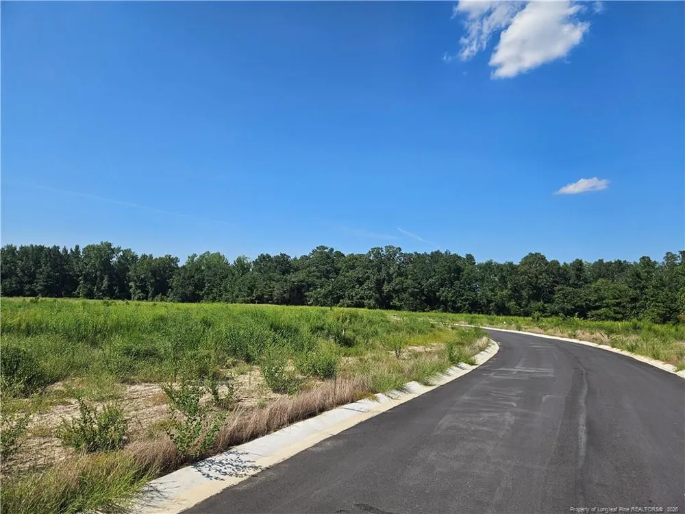 131 Britt Road St. Pauls, NC 28384