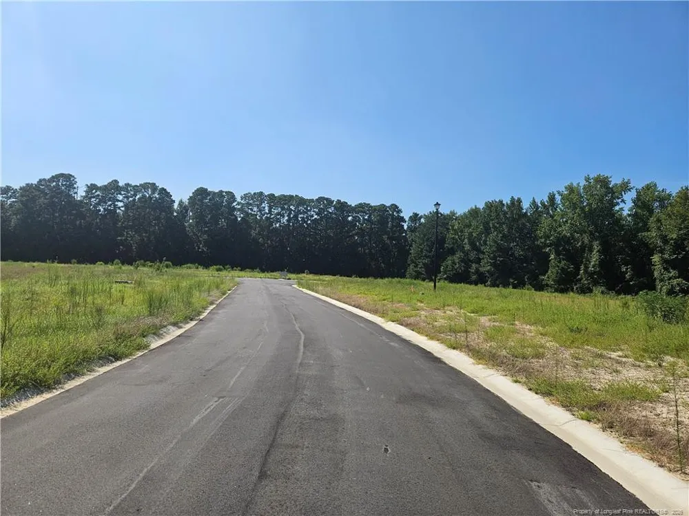 131 Britt Road St. Pauls, NC 28384