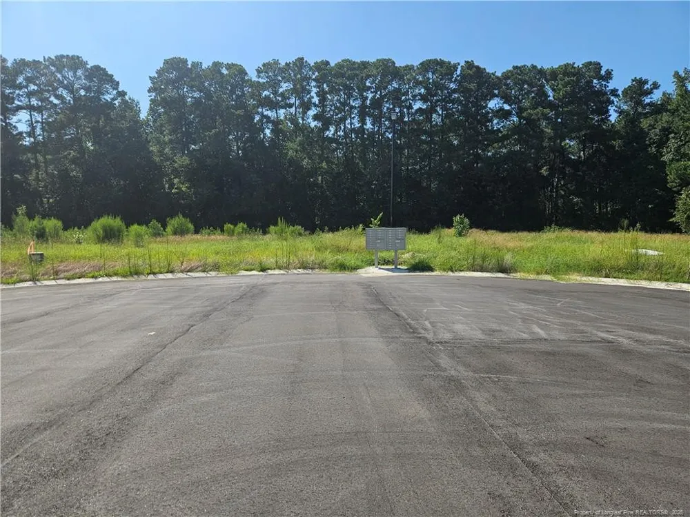 131 Britt Road St. Pauls, NC 28384