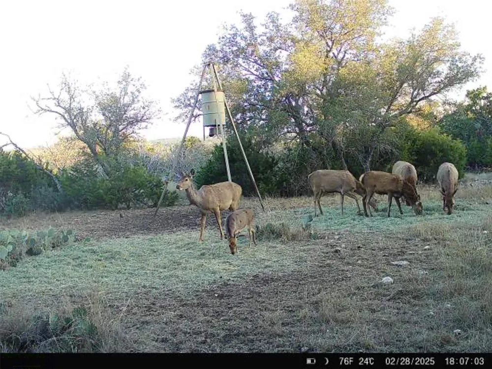 190 Pvt Rd 3019 NW Mountain Home, TX 76849