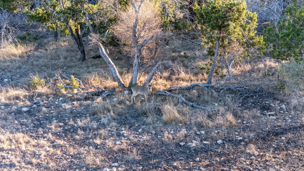 190 Pvt Rd 3019 NW Mountain Home, TX 76849