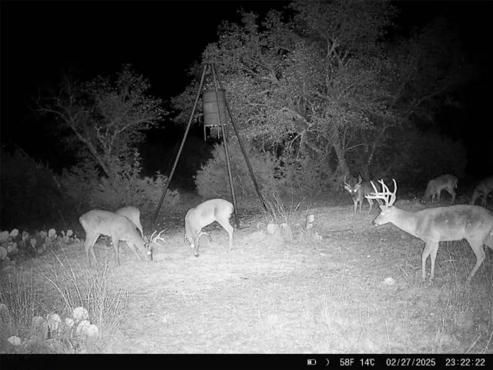 190 Pvt Rd 3019 NW Mountain Home, TX 76849