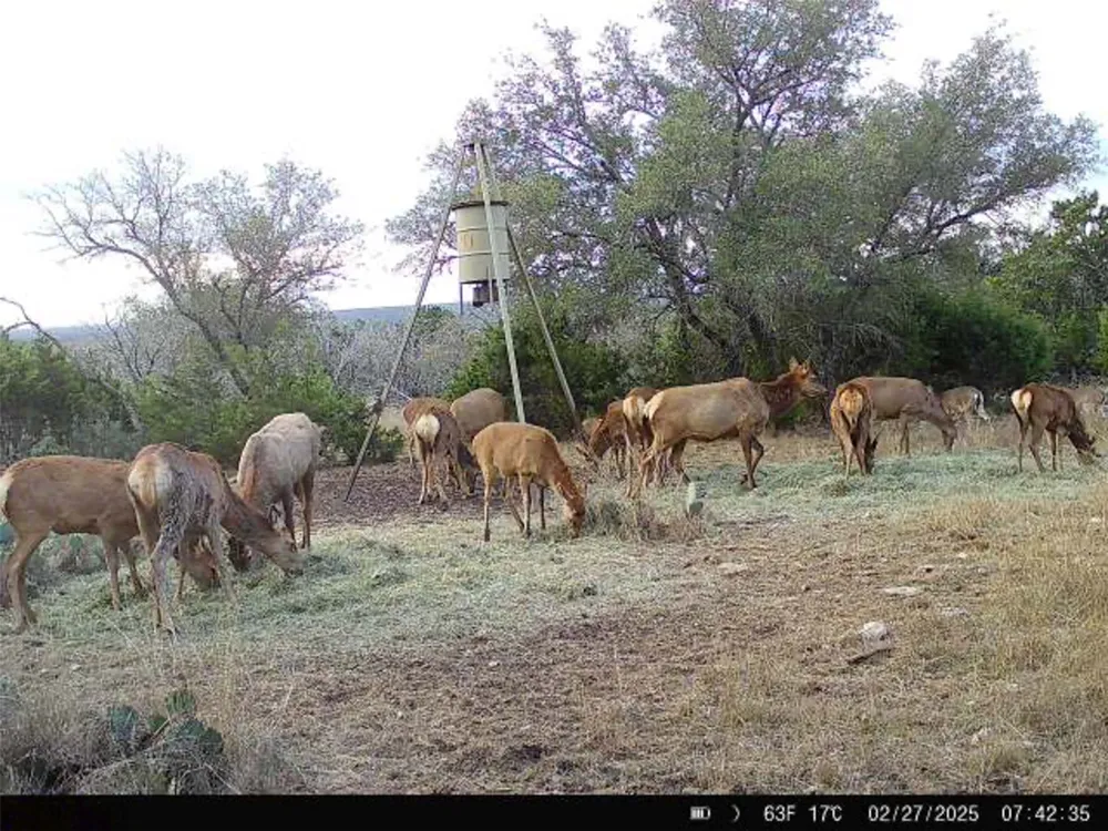 190 Pvt Rd 3019 NW Mountain Home, TX 76849