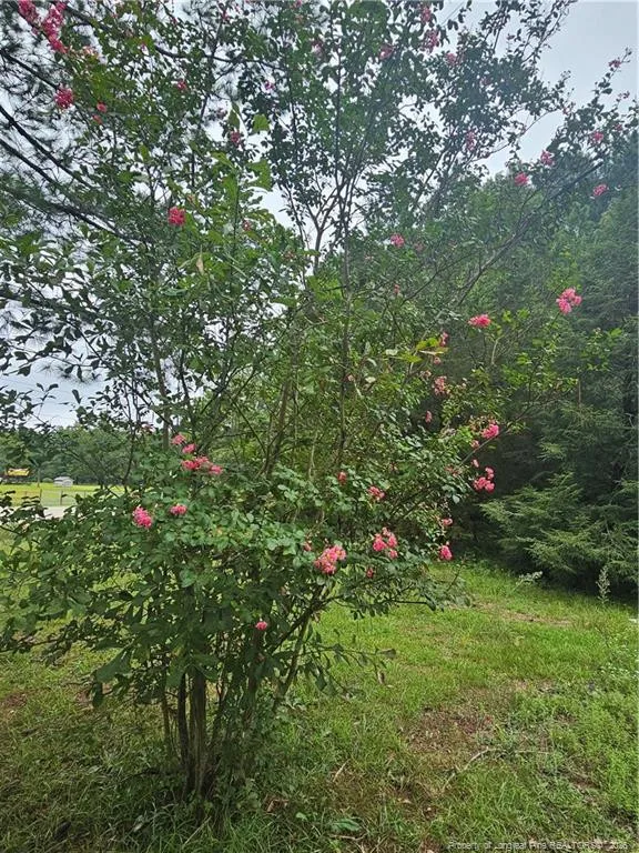 23 Southfork Road Parkton, NC 28371