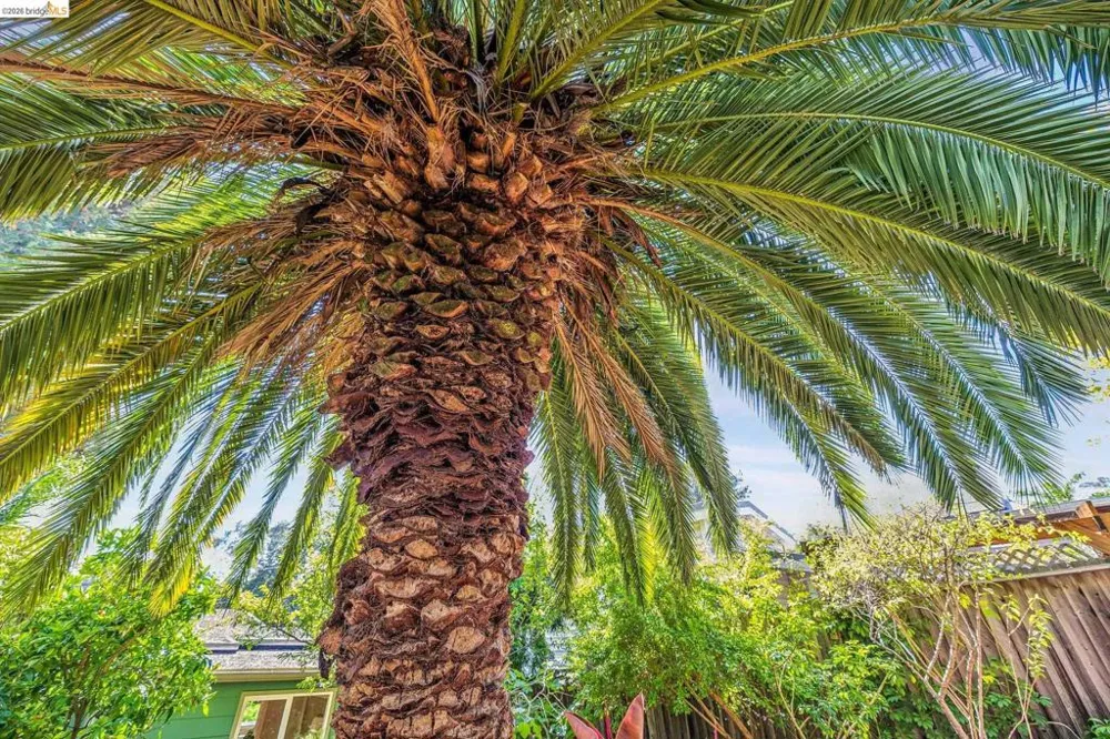 4624 Steele St Oakland, CA 94619