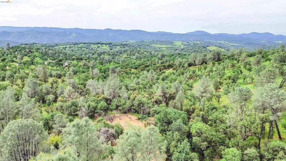 17270 Robin Ridge Sonora, CA 95370