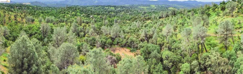 17270 Robin Ridge Sonora, CA 95370