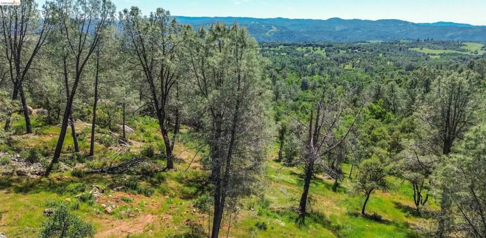 17270 Robin Ridge Sonora, CA 95370